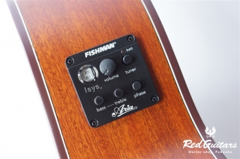 ARIA-101CE - Cherry Sunburst, Matt